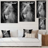 Farmhouse Horse VI - Canvas Wall Art
