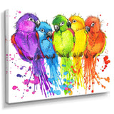 Colorful Parrots - Traditional Living Room Wall Decor