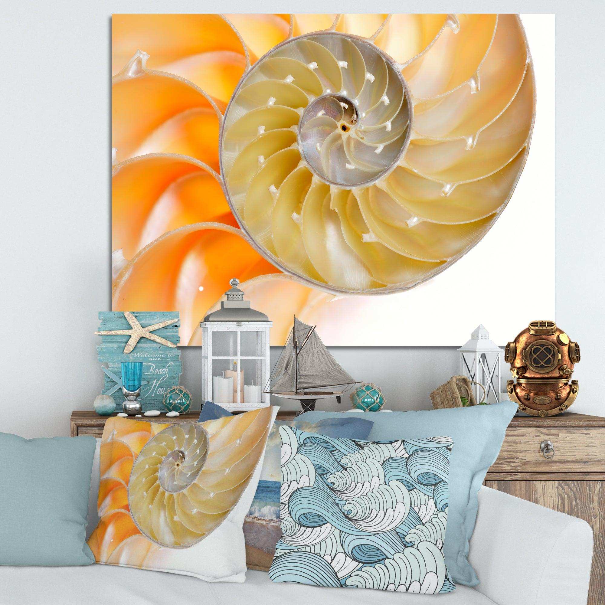 Isolated Nautilus Shell - Nautical & Coastal Bedroom Wall Art