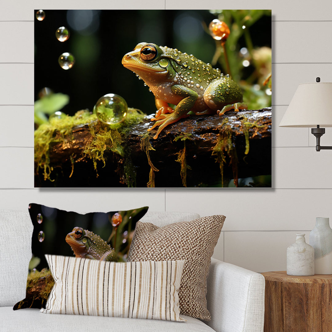 Frogs & Toads wall art