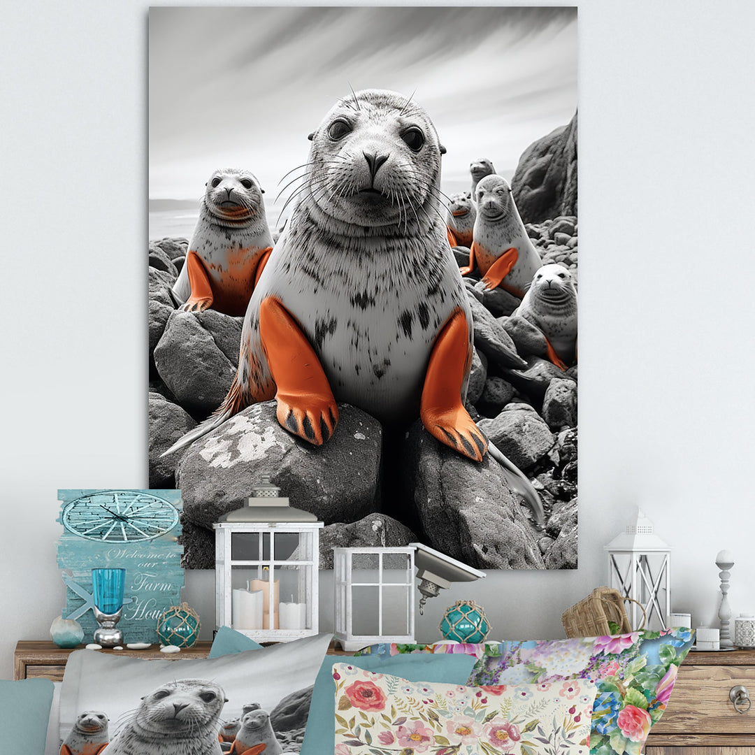 Seal and Sea Lion wall art
