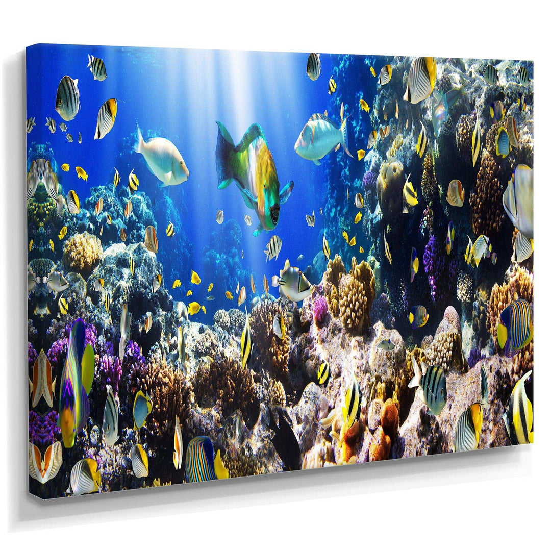 Fish wall art