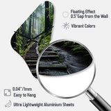 USA Muir Woods National Monument I - Asymmetric Metal Wall Clock