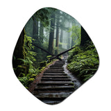 USA Muir Woods National Monument I - Asymmetric Metal Wall Clock
