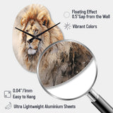 Fierce Lion III - Asymmetric Metal Wall Clock