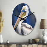 Majestic Pelican Seabird V - Asymmetric Metal Wall Clock