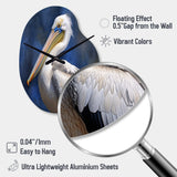 Majestic Pelican Seabird V - Asymmetric Metal Wall Clock
