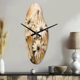Vintage Brown Daisies Flower I - Asymmetric Metal Wall Clock