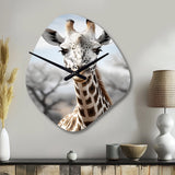 Africa Giraffes Elegance II - Asymmetric Metal Wall Clock