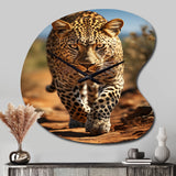 African Leopard Portrait I - Asymmetric Metal Wall Clock
