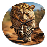 African Leopard Portrait I - Asymmetric Metal Wall Clock