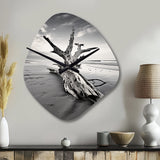 Beach Driftwood Photo III - Asymmetric Metal Wall Clock