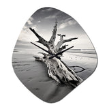 Beach Driftwood Photo III - Asymmetric Metal Wall Clock