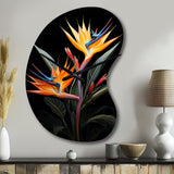 Birds Of Paradise Paradise II - Asymmetric Metal Wall Clock