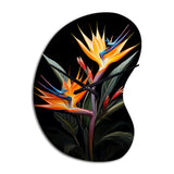 Birds Of Paradise Paradise II - Asymmetric Metal Wall Clock