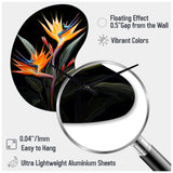 Birds Of Paradise Paradise II - Asymmetric Metal Wall Clock
