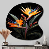 Birds Of Paradise Paradise II - Asymmetric Metal Wall Clock