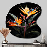 Birds Of Paradise Paradise II - Asymmetric Metal Wall Clock