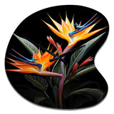 Birds Of Paradise Paradise II - Asymmetric Metal Wall Clock