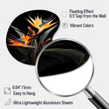 Birds Of Paradise Paradise II - Asymmetric Metal Wall Clock
