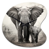Elephant Whispers Of Africa II - Asymmetric Metal Wall Clock