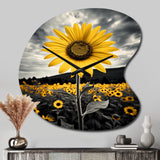 Yellow Brown Sunflower Field Emergent Sunflower II - Asymmetric Metal Wall Clock