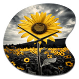 Yellow Brown Sunflower Field Emergent Sunflower II - Asymmetric Metal Wall Clock