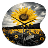 Yellow Brown Sunflower Field Emergent Sunflower II - Asymmetric Metal Wall Clock