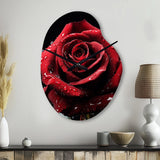 Red Black Rose Elegance I - Asymmetric Metal Wall Clock