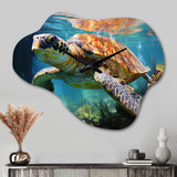 Green Blue Marine Animals Turtle Encounter V - Asymmetric Metal Wall Clock