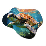 Green Blue Marine Animals Turtle Encounter V - Asymmetric Metal Wall Clock