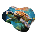 Green Blue Marine Animals Turtle Encounter V - Asymmetric Metal Wall Clock