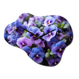 Purple Pansies Field Vibrant - Asymmetric Metal Wall Clock