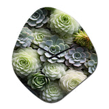 Green Succulents Flowers Serene Succulents II - Asymmetric Metal Wall Clock