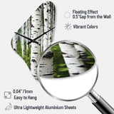 White Green Birch Tree Whispers III - Asymmetric Metal Wall Clock