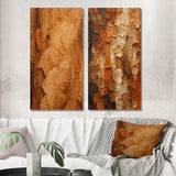 Modern Wall Art Canvas Set - Brown Tree Bark Essence II - 2 Pieces