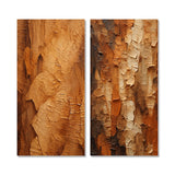 Modern Wall Art Canvas Set - Brown Tree Bark Essence II - 2 Pieces