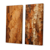 Modern Wall Art Canvas Set - Brown Tree Bark Essence II - 2 Pieces