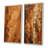 Modern Wall Art Canvas Set - Brown Tree Bark Essence II - 2 Pieces