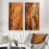 Modern Wall Art Canvas Set - Brown Tree Bark Essence II - 2 Pieces