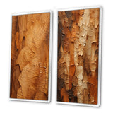 Modern Wall Art Canvas Set - Brown Tree Bark Essence II - 2 Pieces
