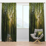 Evening in Green Forest - Landscape Curtain - 1 Panel