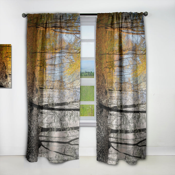 Yellow Morning in Forest Panorama - Landscape Curtain - 1 Panel