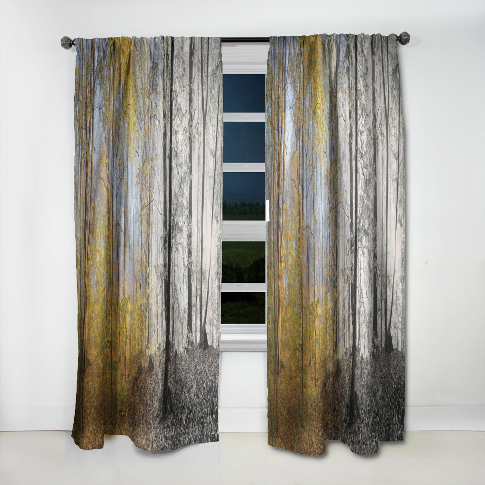 Yellow Morning in Forest Panorama - Landscape Curtain - 1 Panel