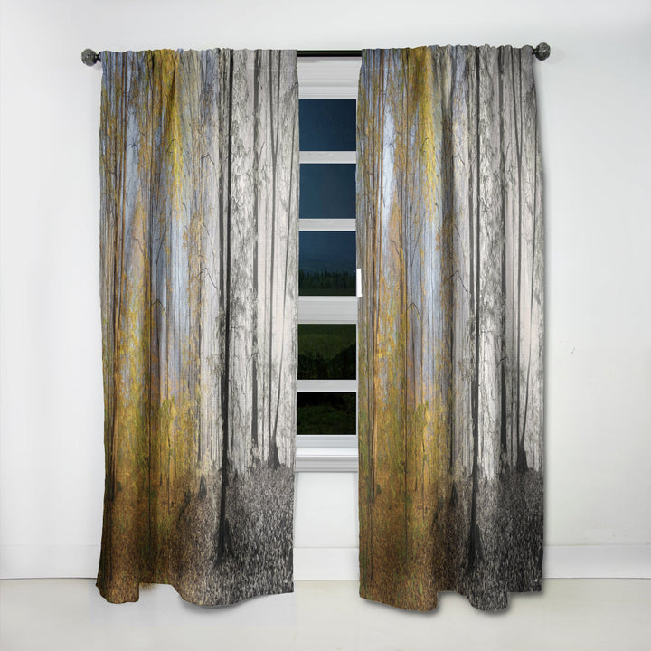 Yellow Morning in Forest Panorama - Landscape Curtain - 1 Panel
