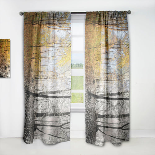 Yellow Morning in Forest Panorama - Landscape Curtain - 1 Panel