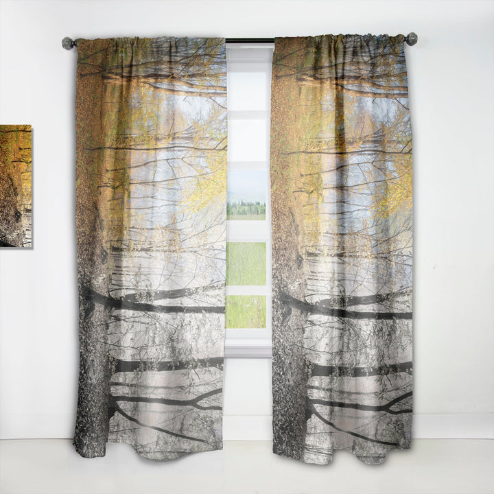 Yellow Morning in Forest Panorama - Landscape Curtain - 1 Panel