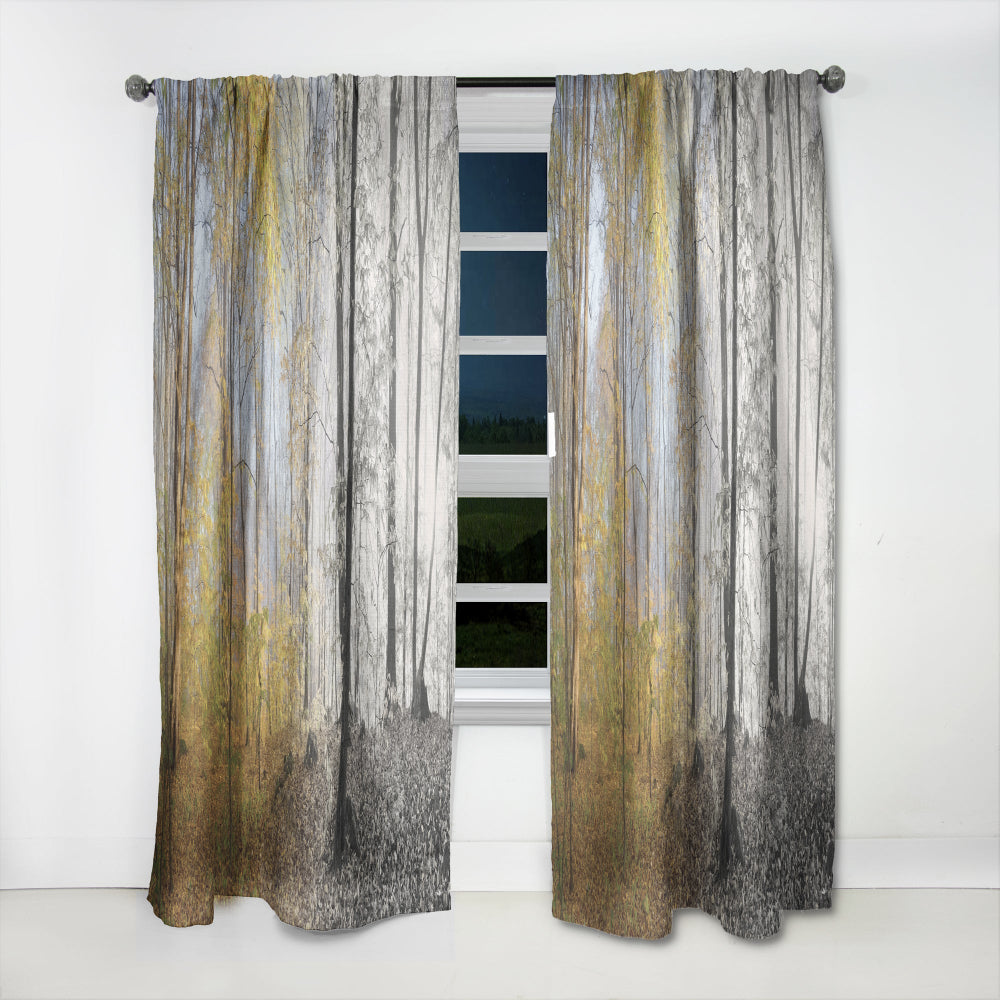 Yellow Morning in Forest Panorama - Landscape Curtain - 1 Panel