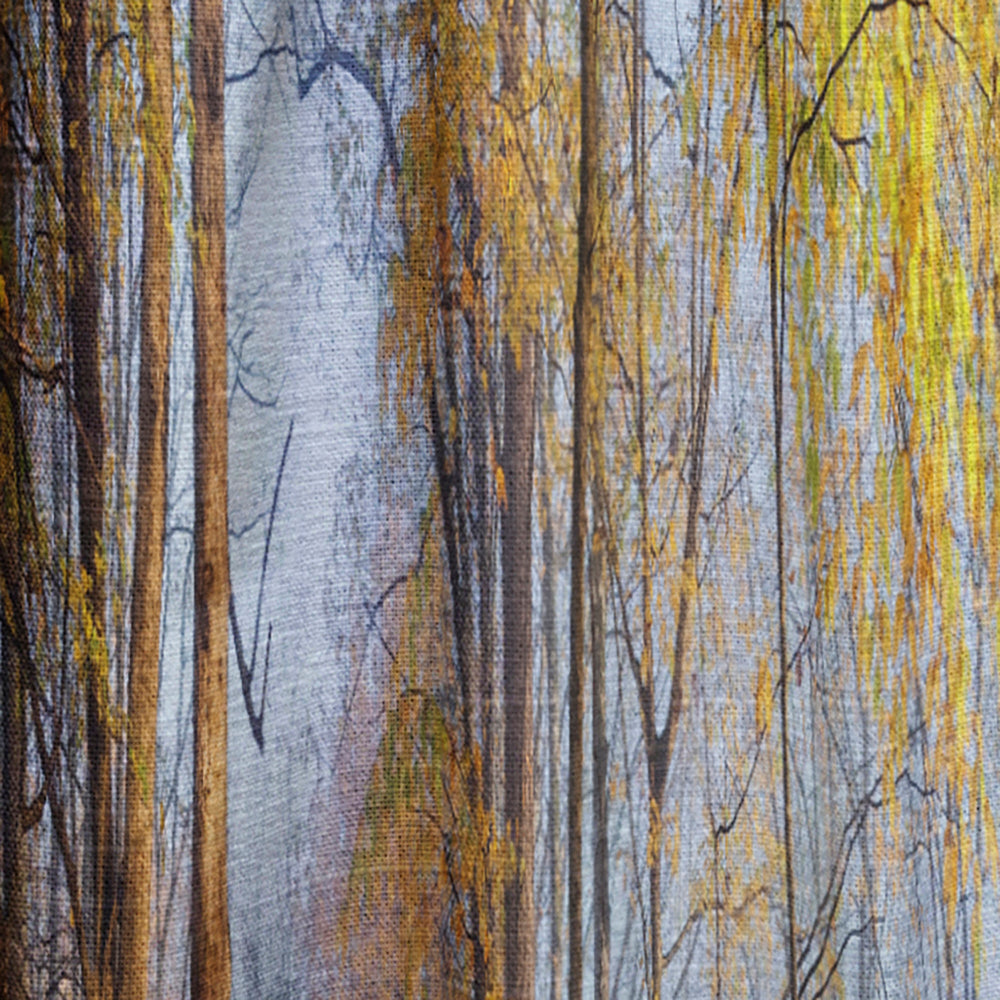 Yellow Morning in Forest Panorama - Landscape Curtain - 1 Panel