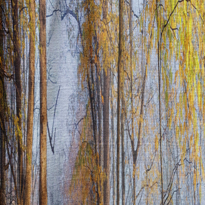 Yellow Morning in Forest Panorama - Landscape Curtain - 1 Panel